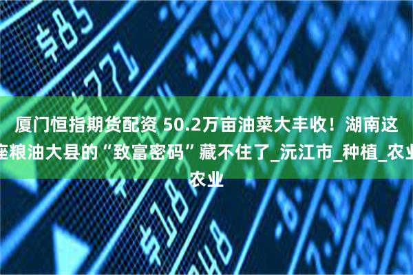 厦门恒指期货配资 50.2万亩油菜大丰收！湖南这座粮油大县的“致富密码”藏不住了_沅江市_种植_农业