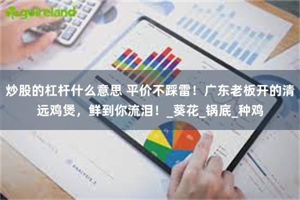 炒股的杠杆什么意思 平价不踩雷！广东老板开的清远鸡煲，鲜到你流泪！_葵花_锅底_种鸡