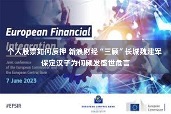 个人股票如何质押 新浪财经“三顾”长城魏建军 保定汉子为何频发盛世危言