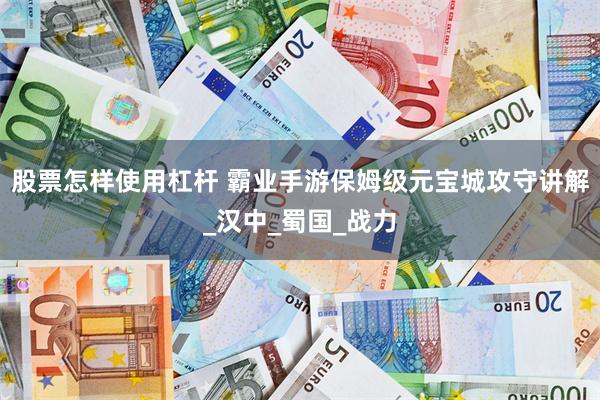 股票怎样使用杠杆 霸业手游保姆级元宝城攻守讲解_汉中_蜀国_战力