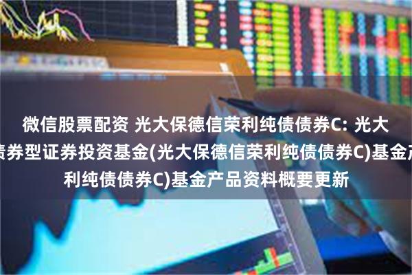 微信股票配资 光大保德信荣利纯债债券C: 光大保德信荣利纯债债券型证券投资基金(光大保德信荣利纯债债券C)基金产品资料概要更新