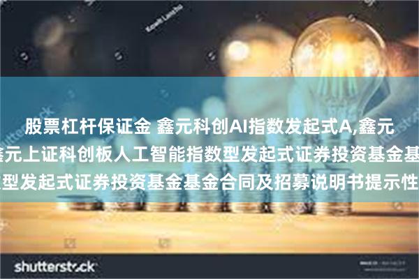 股票杠杆保证金 鑫元科创AI指数发起式A,鑫元科创AI指数发起式C: 鑫元上证科创板人工智能指数型发起式证券投资基金基金合同及招募说明书提示性公告