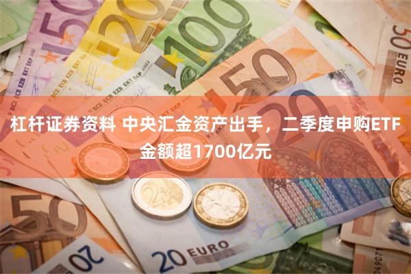 杠杆证券资料 中央汇金资产出手，二季度申购ETF金额超1700亿元