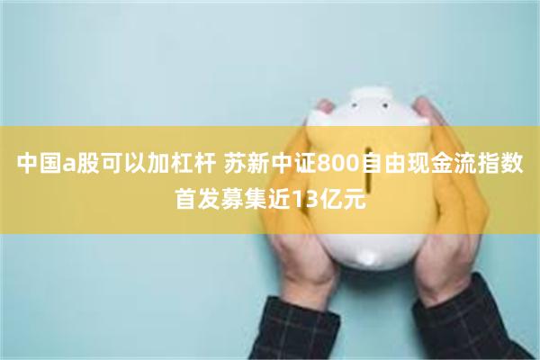 中国a股可以加杠杆 苏新中证800自由现金流指数首发募集近13亿元